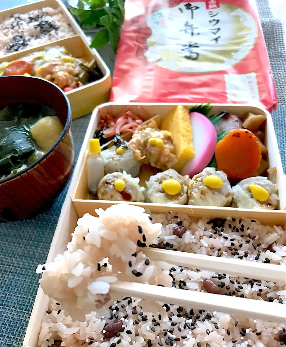 Snapdishの料理写真:Foodieさんの料理 ㊗️祝令和元年、崎陽軒のお赤飯シウマイ弁当 シュトママも買っちゃいました㊗️|シュトママさん