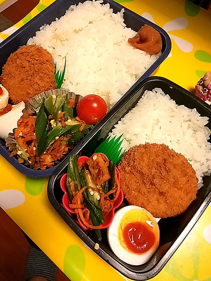 夫の弁当、娘の弁当|みどりさん