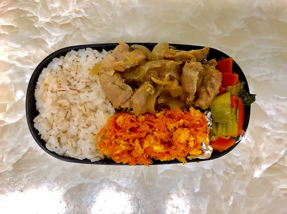 今日のお弁当5/9|としぼーさん