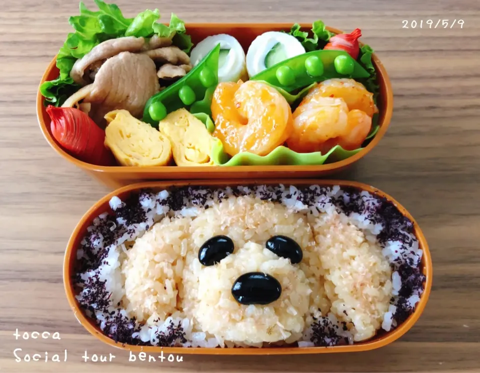 社会見学弁当🍱🐶🐾小⑥息子|toccaさん