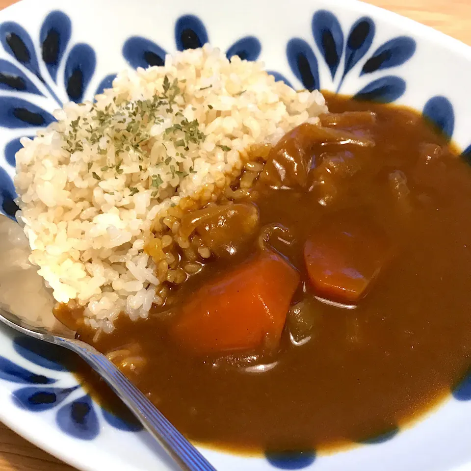 ばんごはん。手抜きすぎて肉忘れたカレーライス。|しゅうとうさんさん