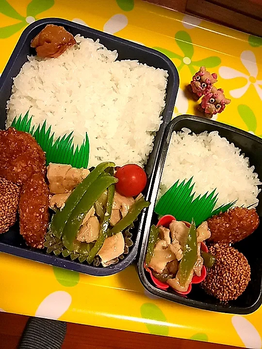 夫の弁当、娘の弁当|みどりさん