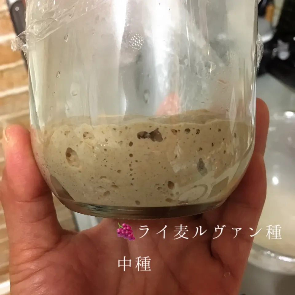 Snapdishの料理写真:🍇ライ麦ルヴァン種
(レーズン酵母をほんの少し入れたから🍇つけました😂)|chieko ♪さん