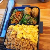 Snapdishの料理写真:そぼろのお弁当|MAIさん