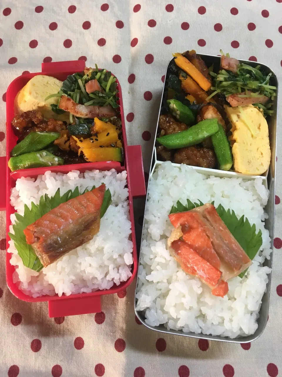 5月10日 もう週末弁当🍱 w|sakuramochiさん