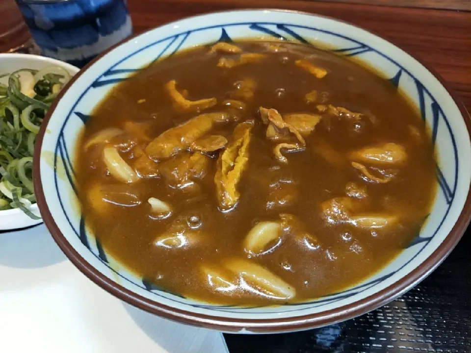 カレーうどん|のぶさん