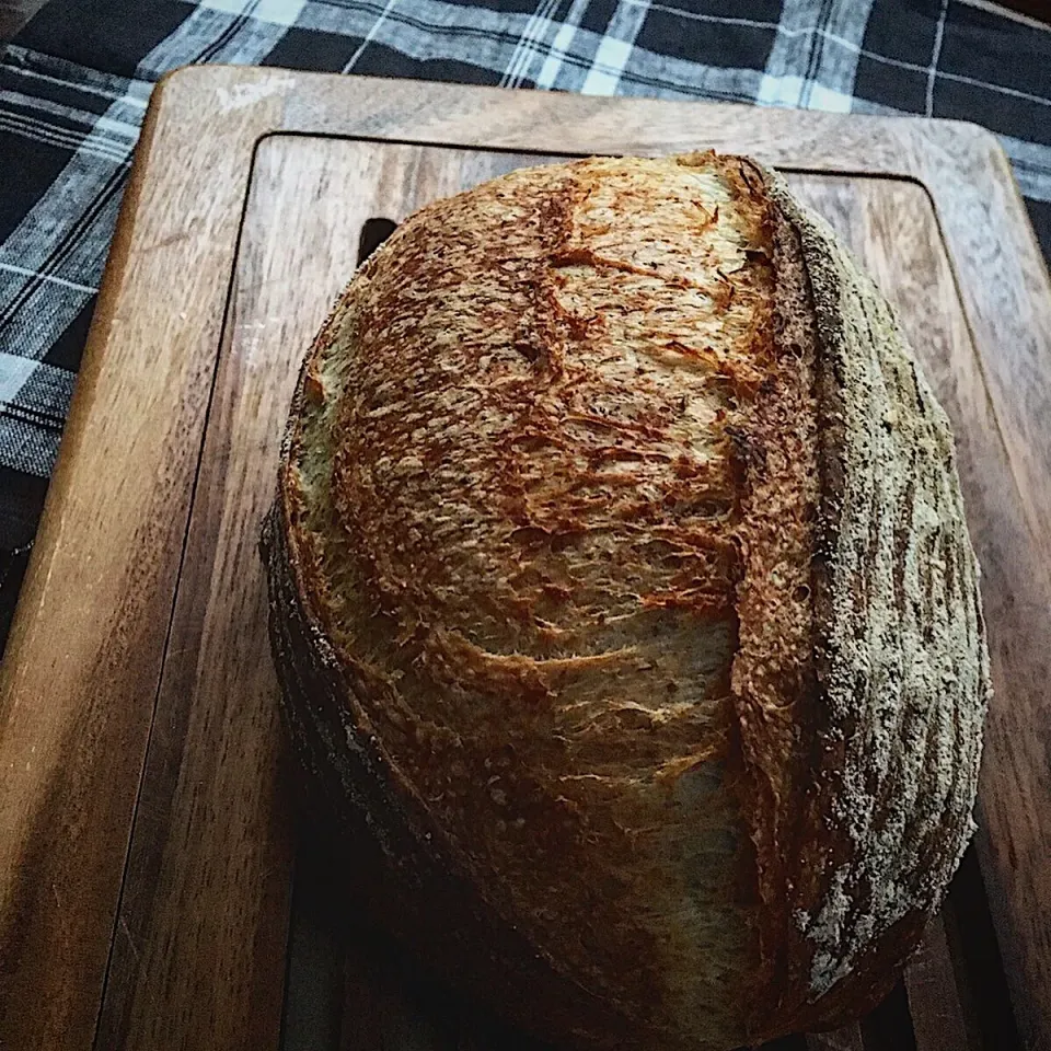 今週のパン🍀 お手軽カンパーニュ🙌|カンカンさん