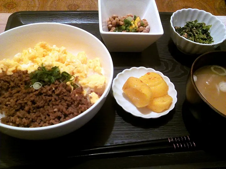 そぼろご飯🍚|舞羅さん