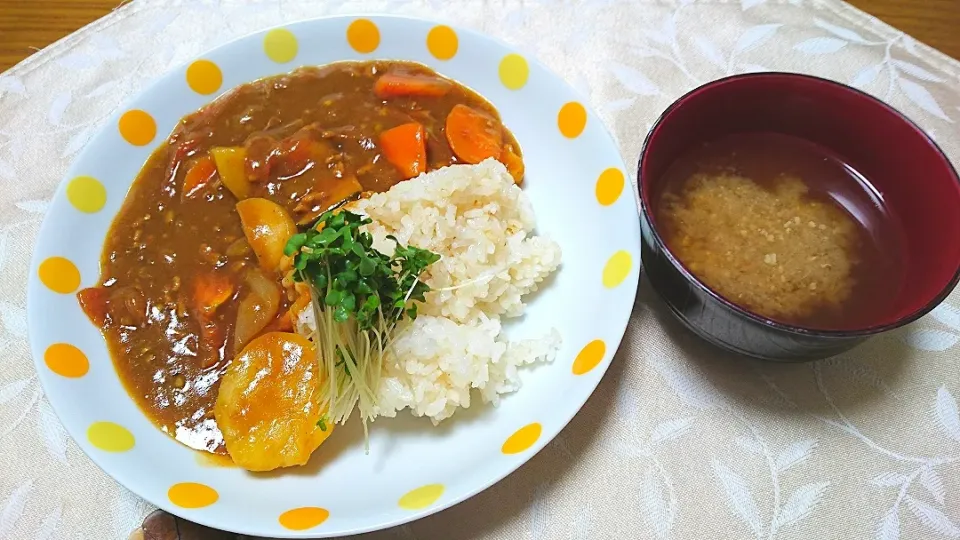 Snapdishの料理写真:母の日の夕食はトマト入りカレー|卯月さん