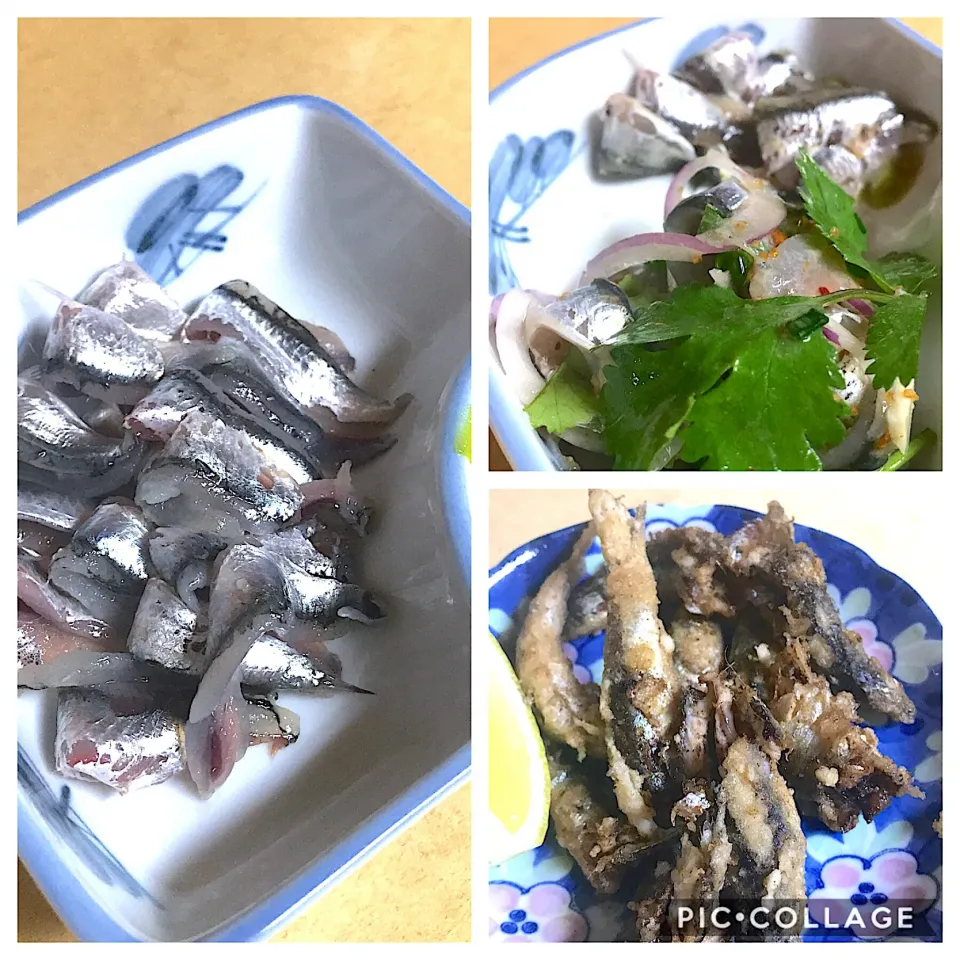 今週のテーマの地産地消 PART2‼️ご近所さんに頂いた、シコイワシの3種類❤️|🌺🌺Foodie🌺🌺さん