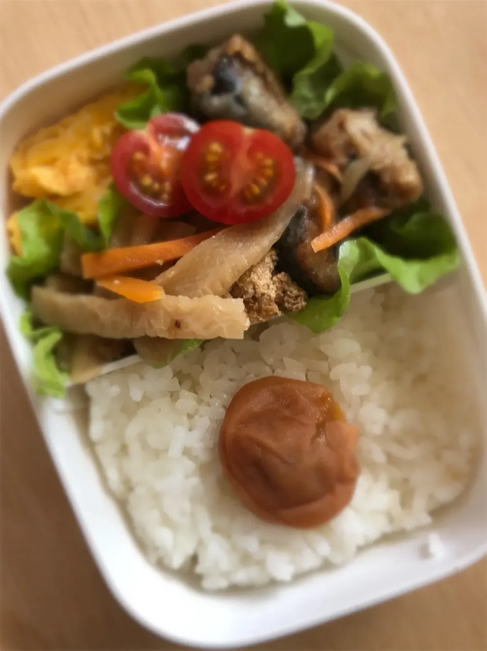 今日のお弁当🍱|ころりんさん