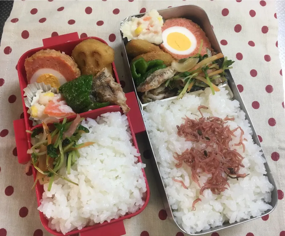 5月13日 週の始まり弁当🍱|sakuramochiさん