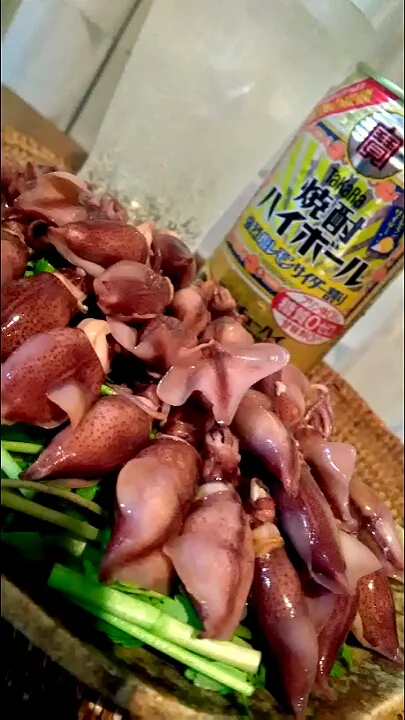 Snapdishの料理写真:蛍烏賊と芹とハイボールと😋🍻🎶✨|アイさん