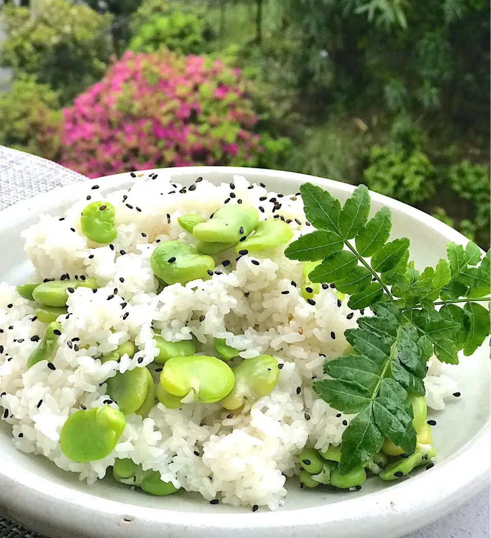 そら豆ごはん|シュトママさん