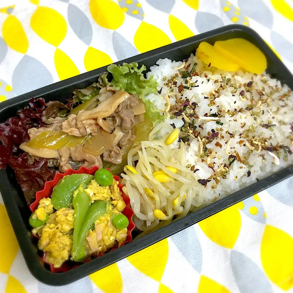 Snapdishの料理写真:👨🏻父ちゃん弁当
豚こまのスタミナ炒め
スナップエンドウと卵のツナカレー味
豆もやしのナムル|まいまいさん