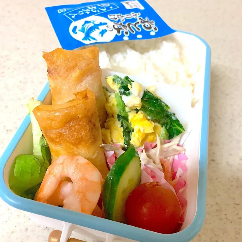 春巻き弁当|besさん