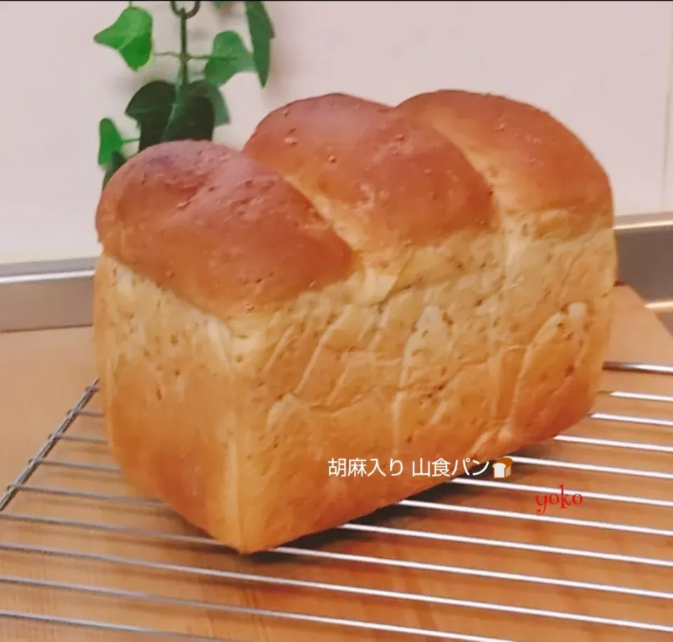 bobbinさんの  ごま山食パン🍞
酵母じゃなくて ごめんなさい(^。^;)|容子さん