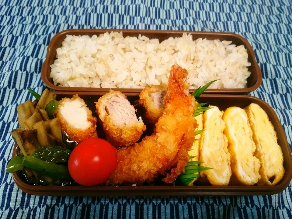 ☆今日のお弁当☆  パパのお弁当作り始めました。|hamamaさん