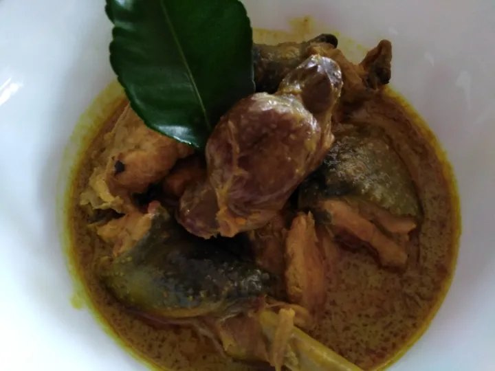 Snapdishの料理写真:Ayam hutan masak lemak cili padi|Sitie1さん