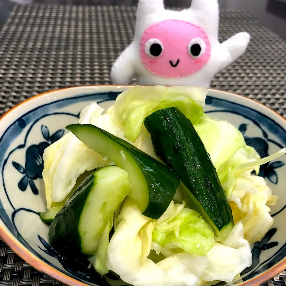 春キャベツときゅうりのあっさり漬け🥒|ヨッチャンさん