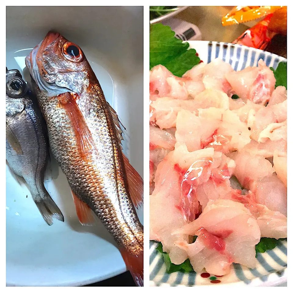 地産地消 PART 4‼️釣りたて、高級魚ノドクロとシロムツの刺身💕|🌺🌺Foodie🌺🌺さん