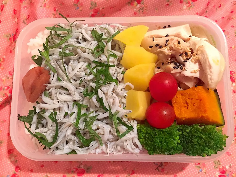 2019年5月15日
旦那さんのお弁当🍱👨‍✈️👨‍🔧👷🏻‍♂️🚊🤟💪🏼💞👍❤️|Kodomo Cookingさん