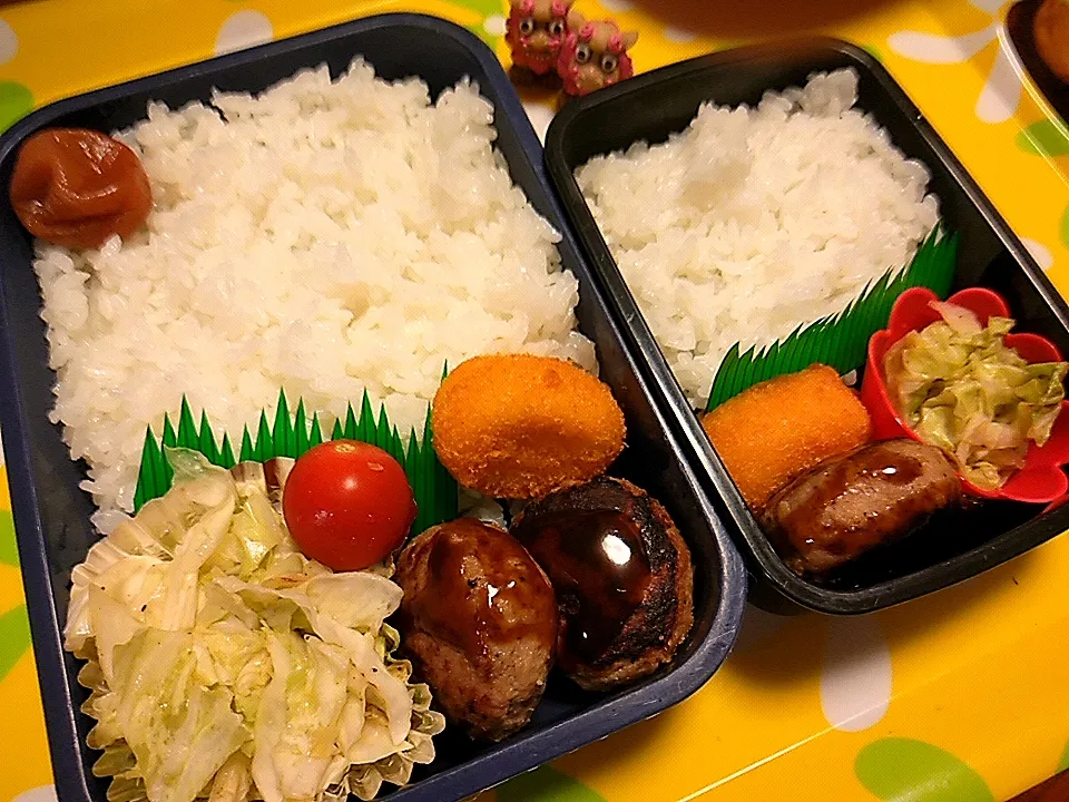 夫の弁当、娘の弁当|みどりさん