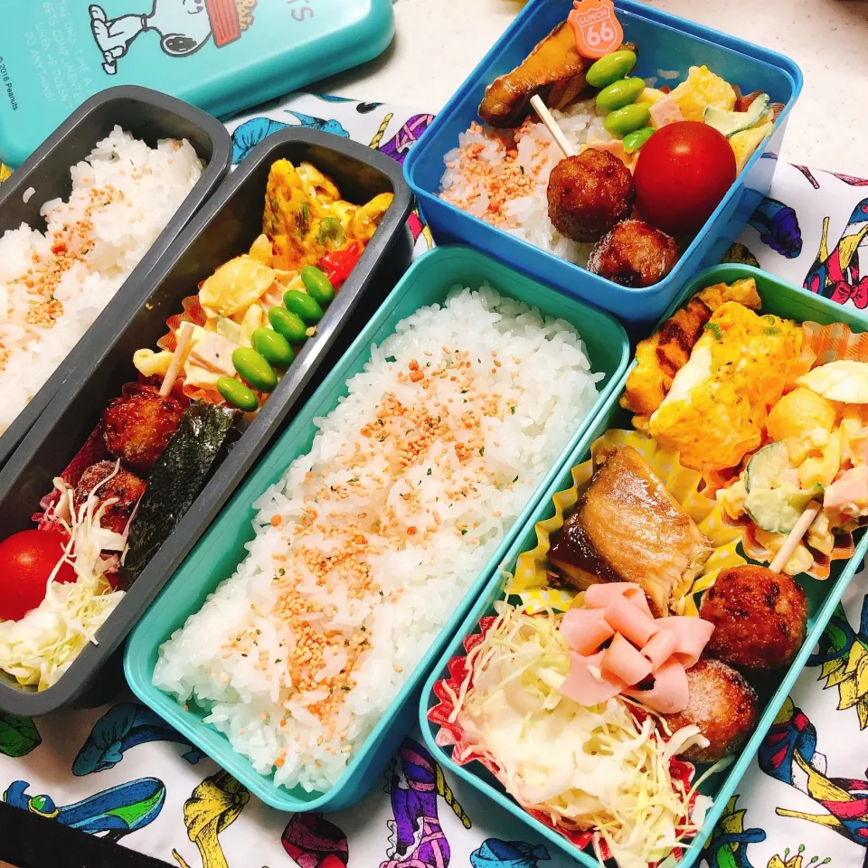 Snapdishの料理写真:今日のお弁当|むっちょさん