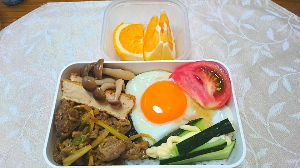 Snapdishの料理写真:5/17のお弁当
牛肉とセロリのカレー風味炒め、
厚揚げの煮物など|卯月さん