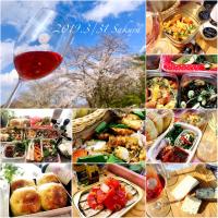 先月のお花見🌸