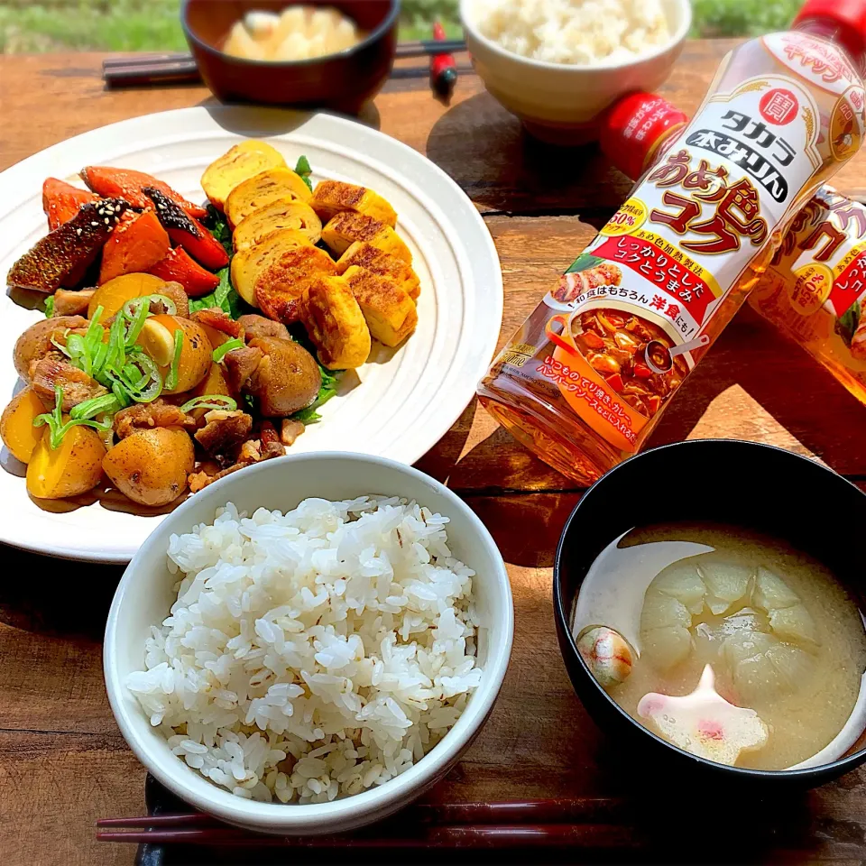 “あめ色の照り照りおかず”でおうちごはん🍚|呑兵衛料理家 おねこさん