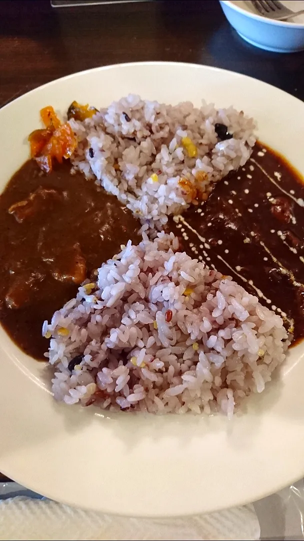 カレーとハヤシのあいがけ アリストランプ築地|りくさん