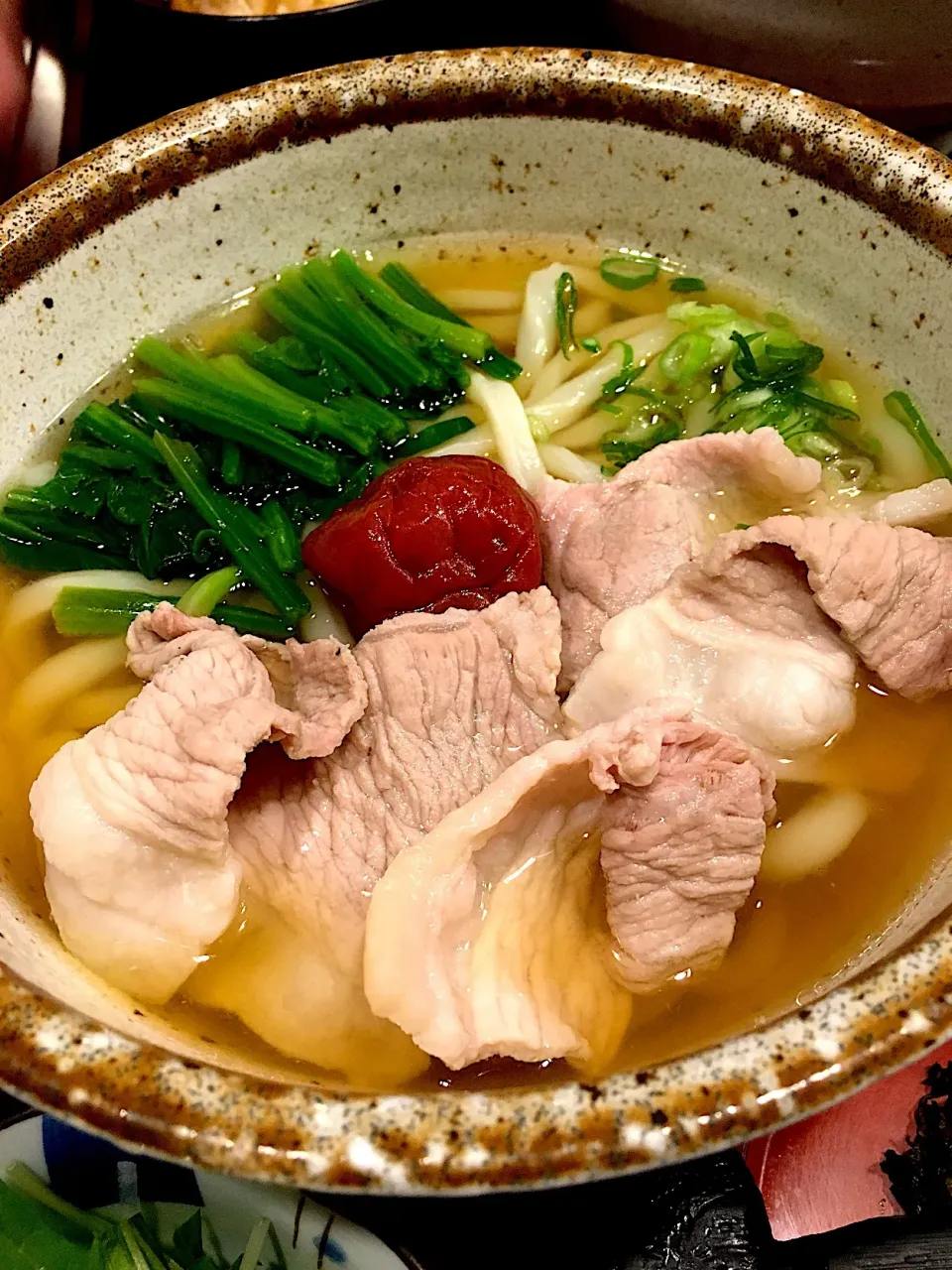 Snapdishの料理写真:澤乃井の梅豚うどん＠赤坂|Yasuhiro Koikeさん