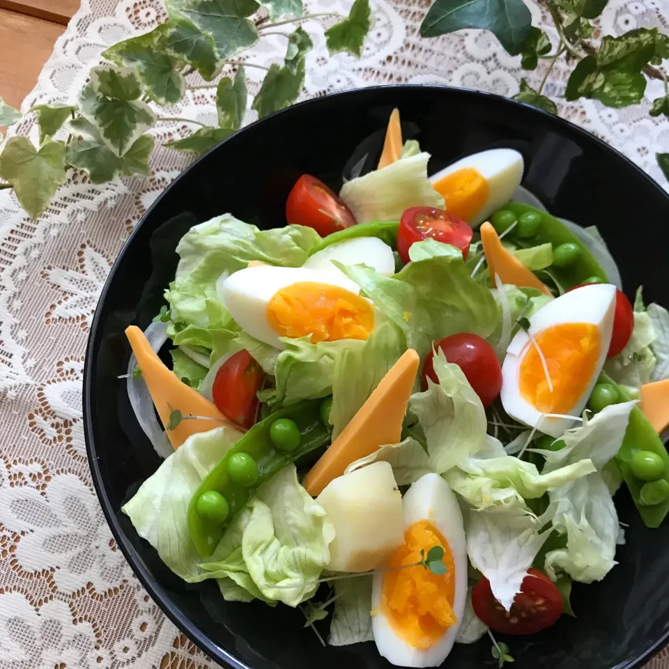 🥗今日はサラダもりもりな気持ち❣️🥗|Hollyさん