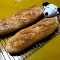 バケット修行🤣長時間低温発酵で🥖|くみぽんさん