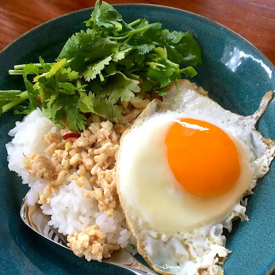 ガパオ🐔🍳パクチーは好きなだけ🌱|べべべさん