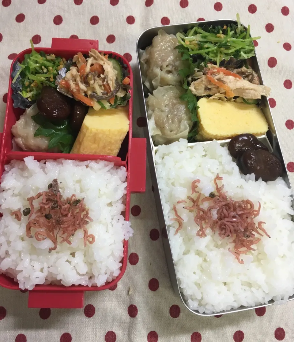 Snapdishの料理写真:5月20日 週の初めの手抜き弁当🍱|sakuramochiさん