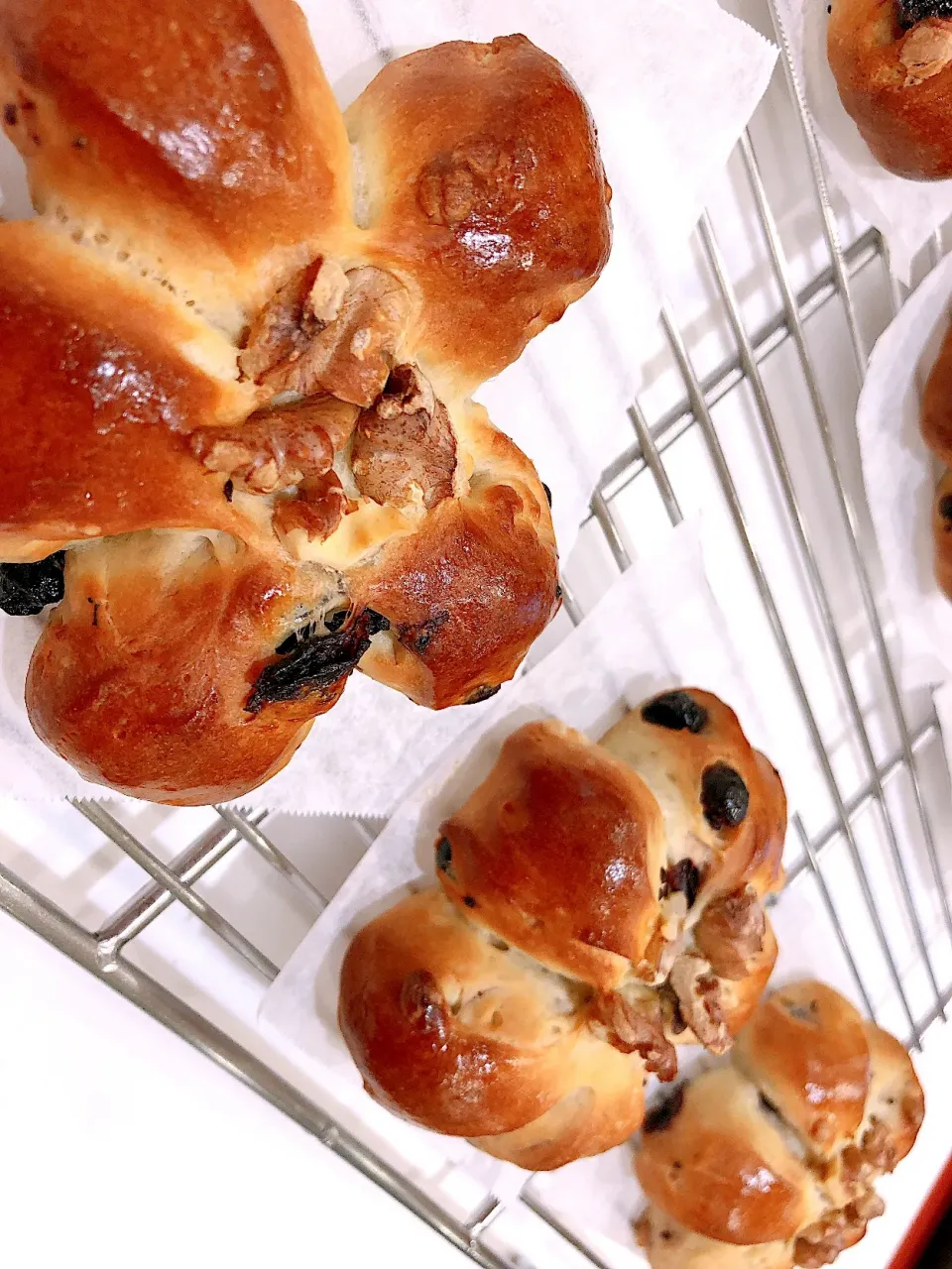 カシスとホワイトチョコのお花ぱん🥐|saaaasanさん