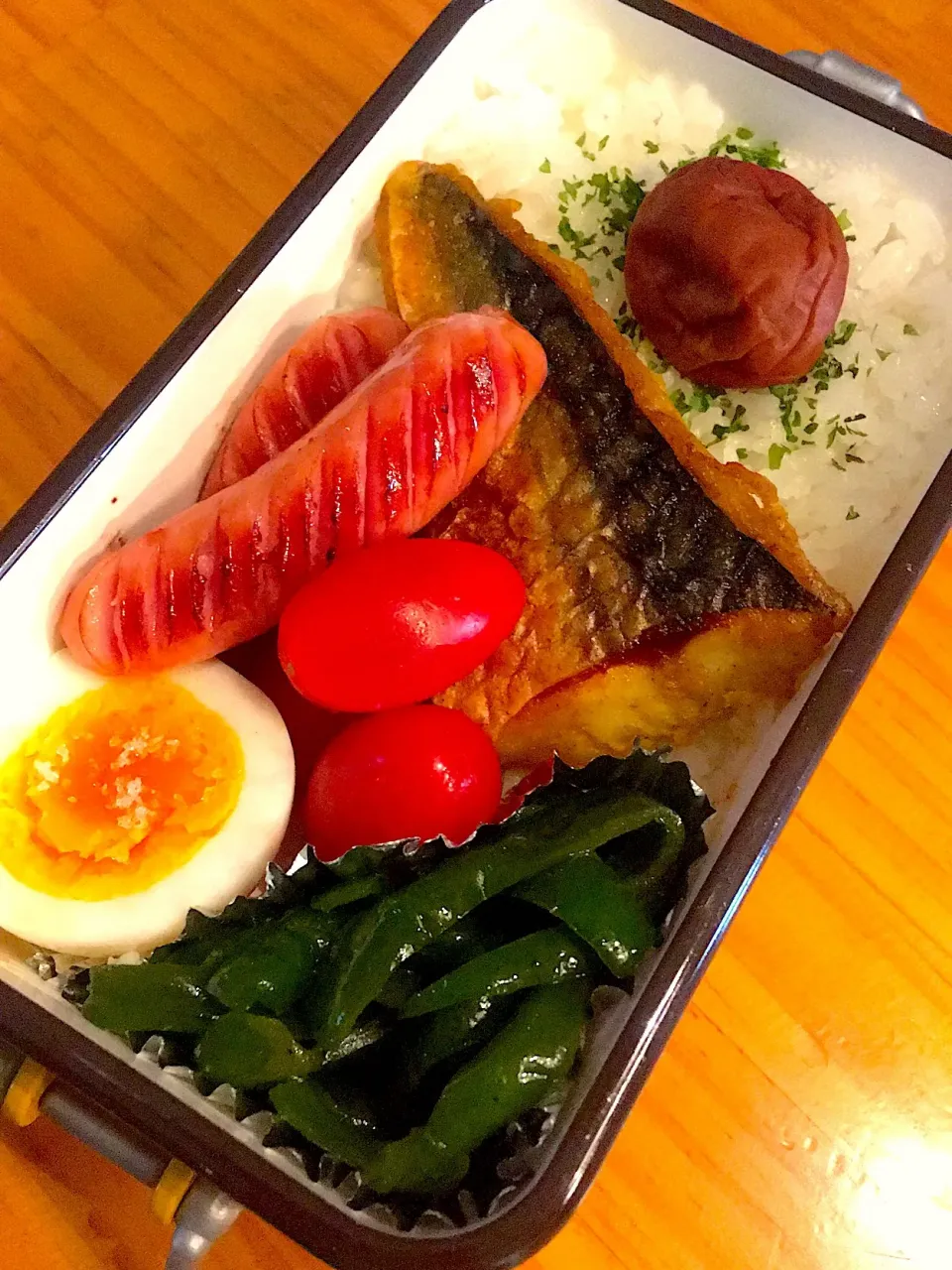 今日のお弁当|たんたんさん