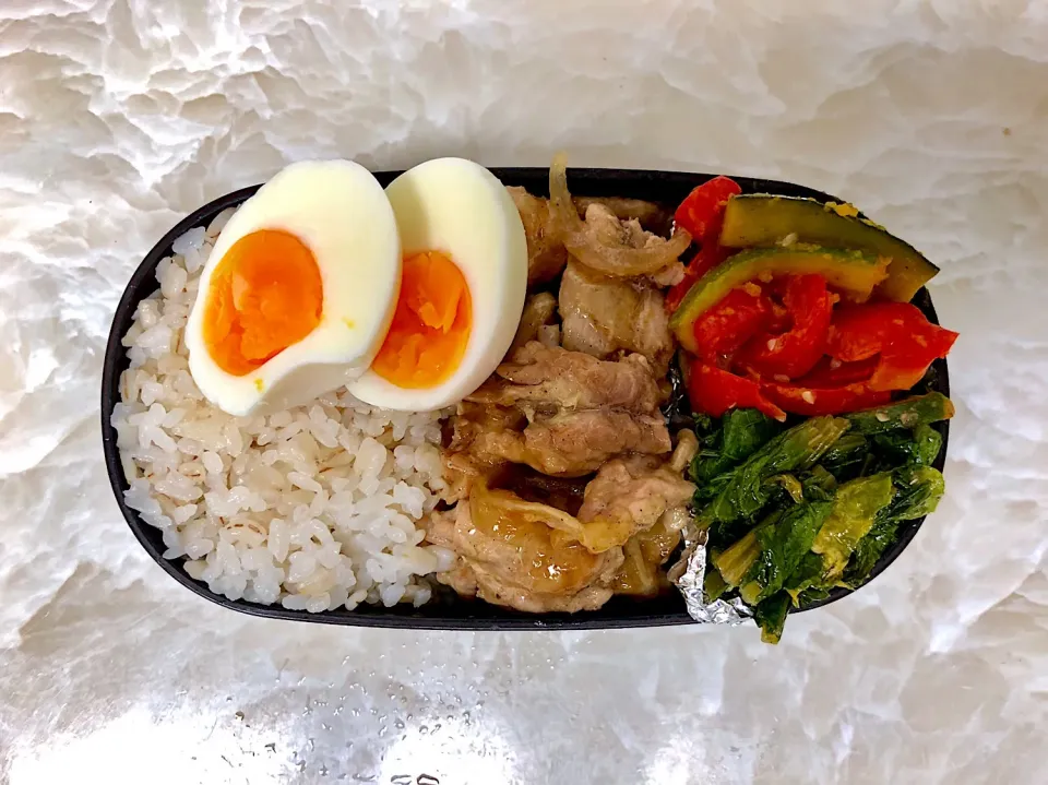 今日のお弁当5/22|としぼーさん