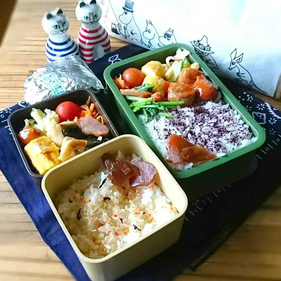 息子弁当・おっと弁当 5/22|ふ〜たん**さん
