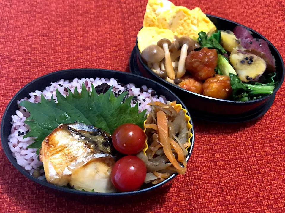 5／20昼食  #昼ごはん  #弁当 
•卵焼き/鶏胸肉団子のチリソース炒め/小松菜としめじの炒め/甘辛さつま芋•鯖の塩焼き/きんぴら牛蒡/黒米ご飯|おさんどんさん