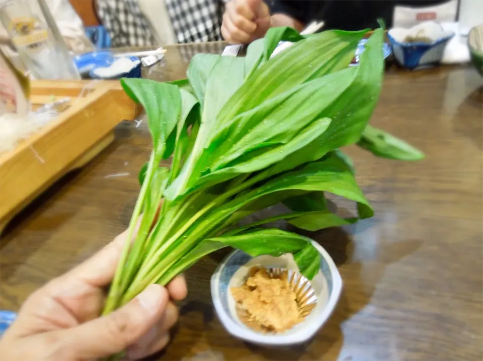 山菜祭り
行者ニンニクの葉
草加 魚魚亭|Takeshi  Nagakiさん