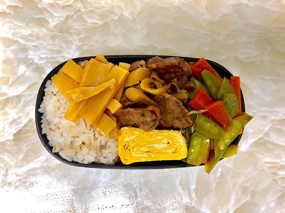 今日のお弁当5/23|としぼーさん