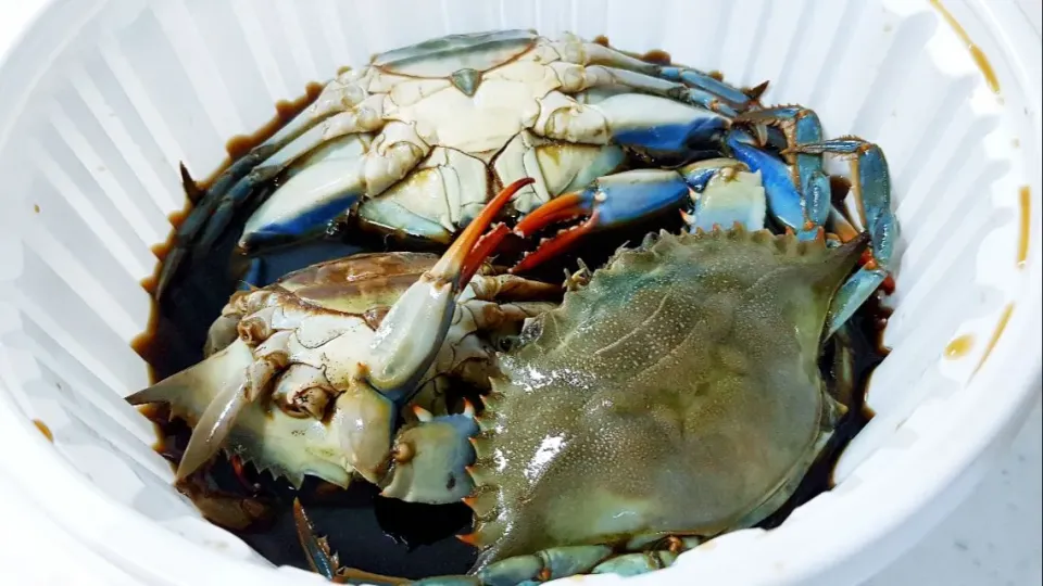 raw crab marinated in soy sauce|steven z.y.さん