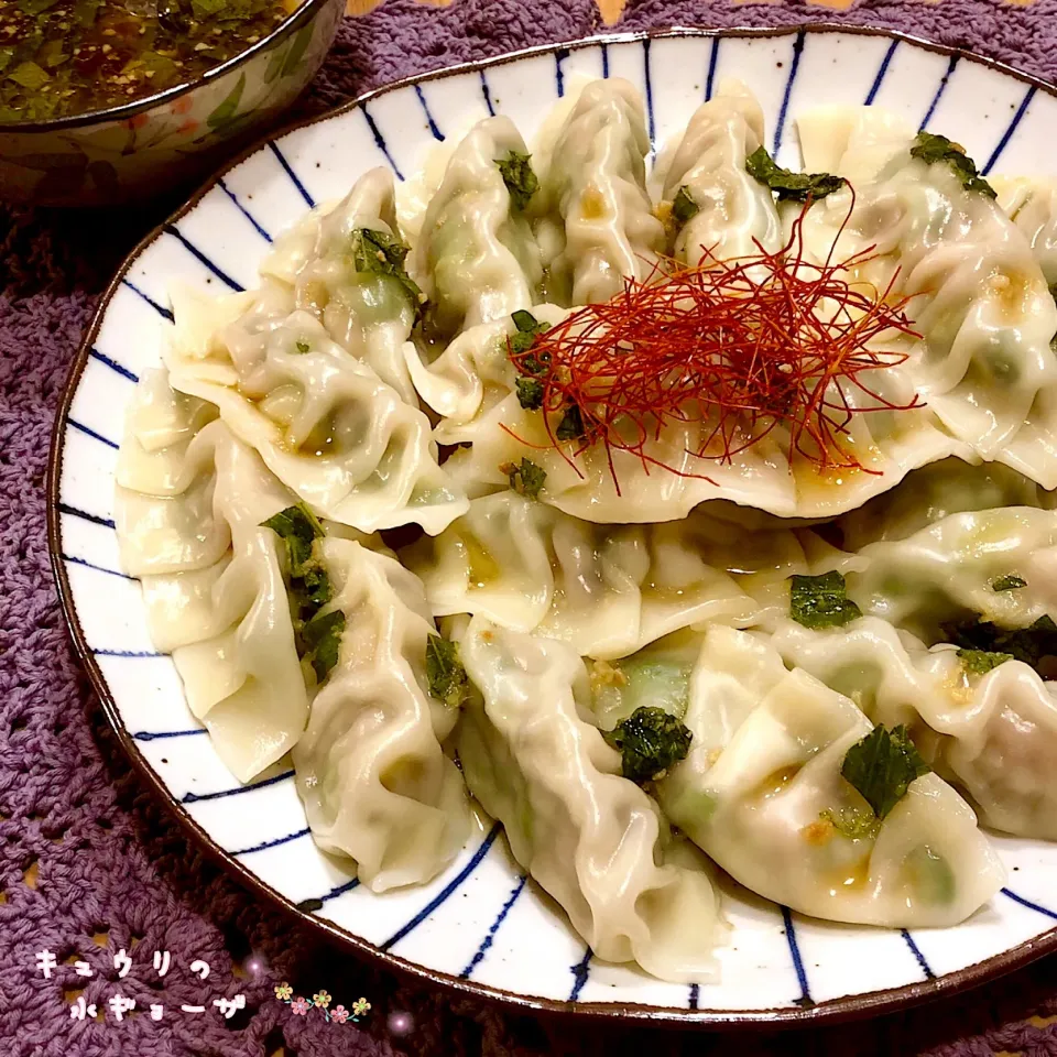 チョッパーちゃんの💚
キュウリの水ギョーザ👍🏼
香味酢じょうゆタレがけ✌(◔౪◔ )✌|こずえ⑅◡̈*さん