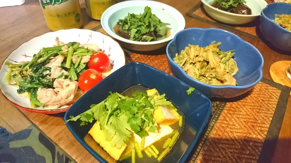 茄子の煮びたし&水菜と海老のサラダ&厚揚げエスニック&ほうれん草と豚肉のオイマヨ|まぐろさん