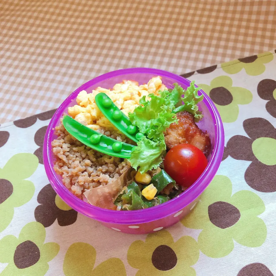 2019/5/25今日のお弁当|kimiさん