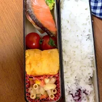 シャケ弁当|kojiro_momoさん