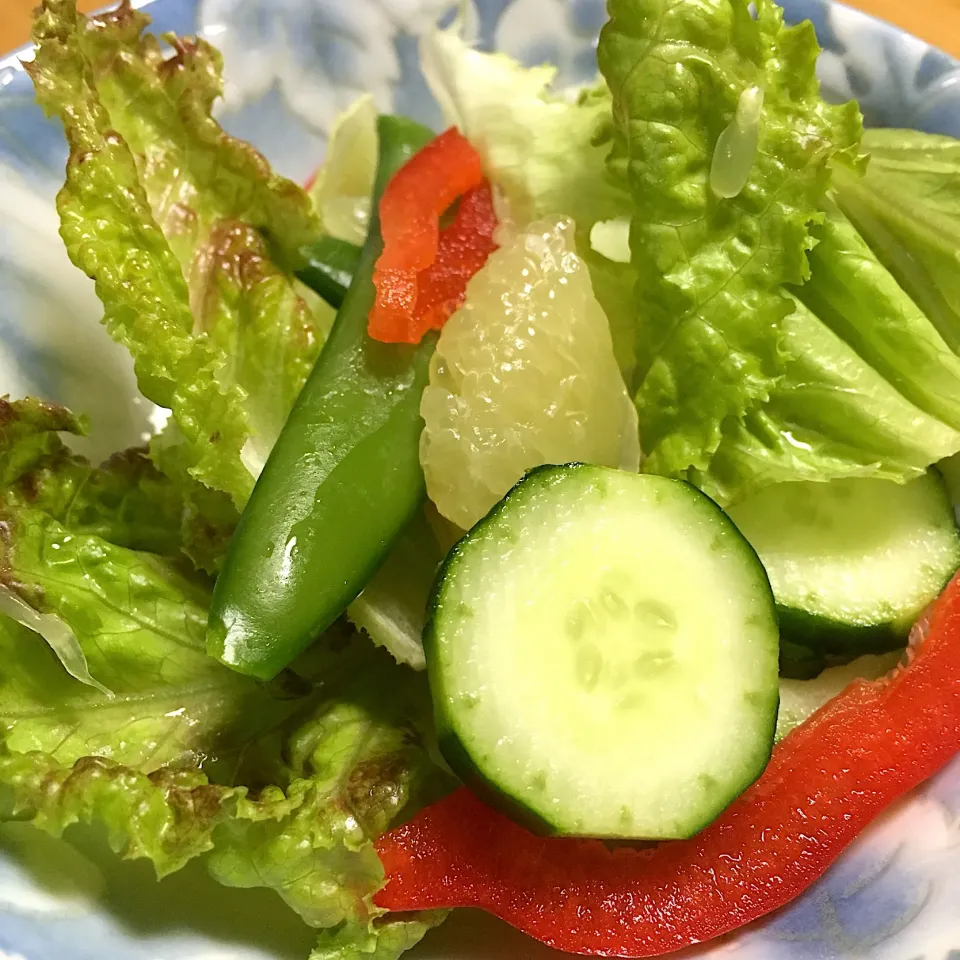 Snapdishの料理写真:🥗野菜&文旦のサラダ
2019.5.25|Yu Yu mamaさん